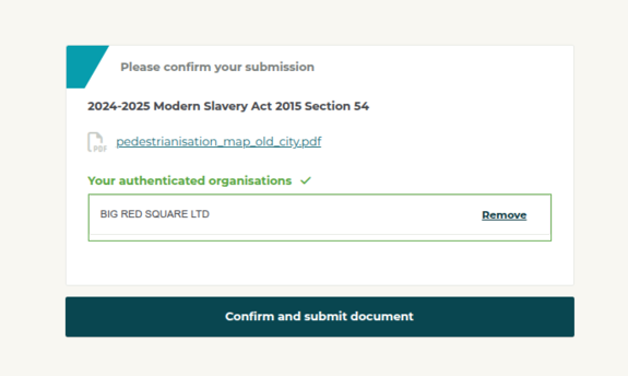 statement confirmation screen tiscreport